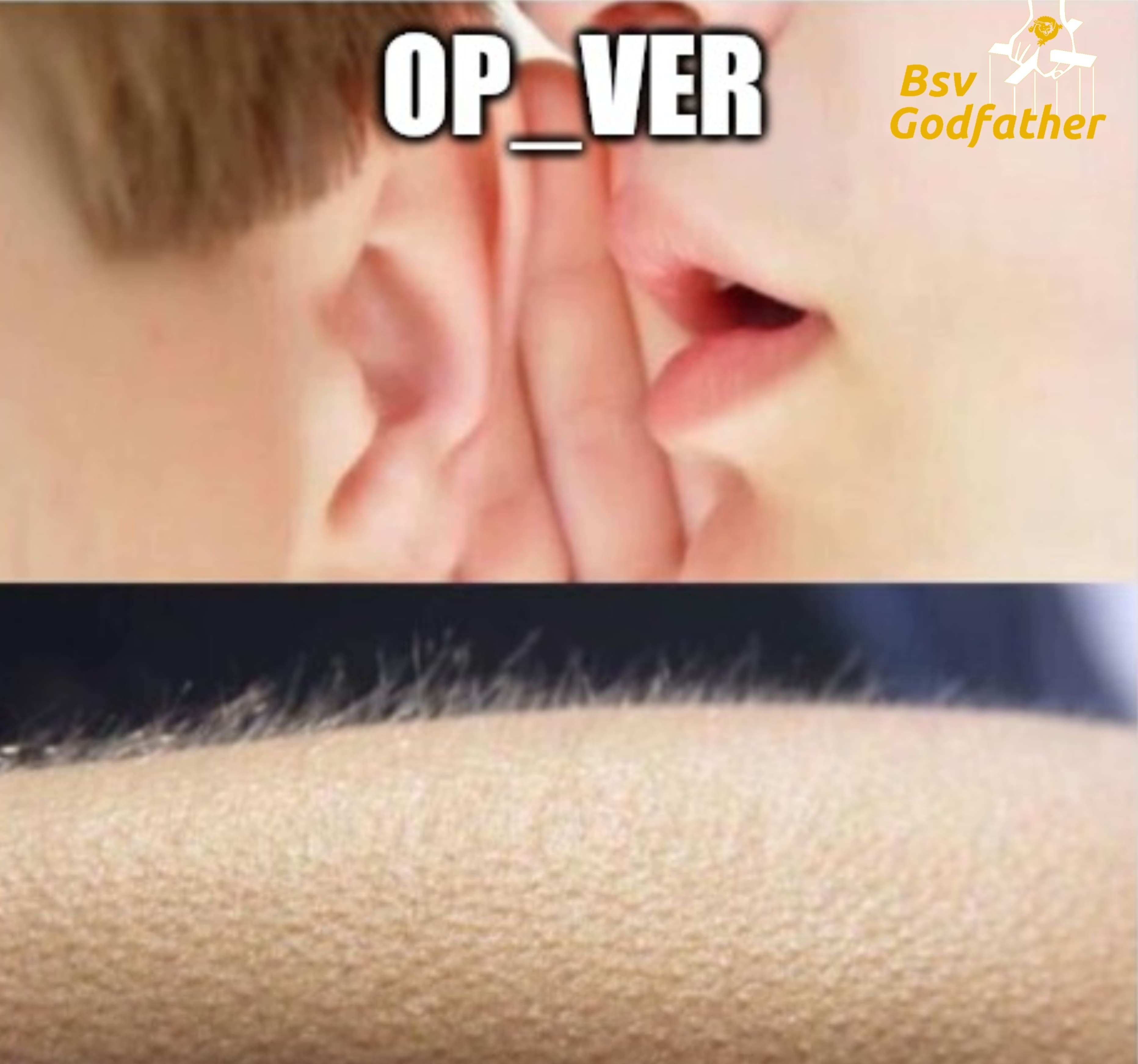 BsvGodfather post