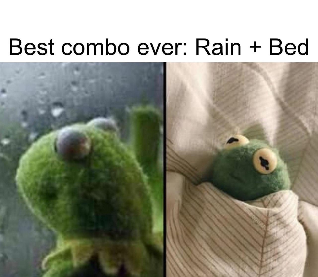 Meme