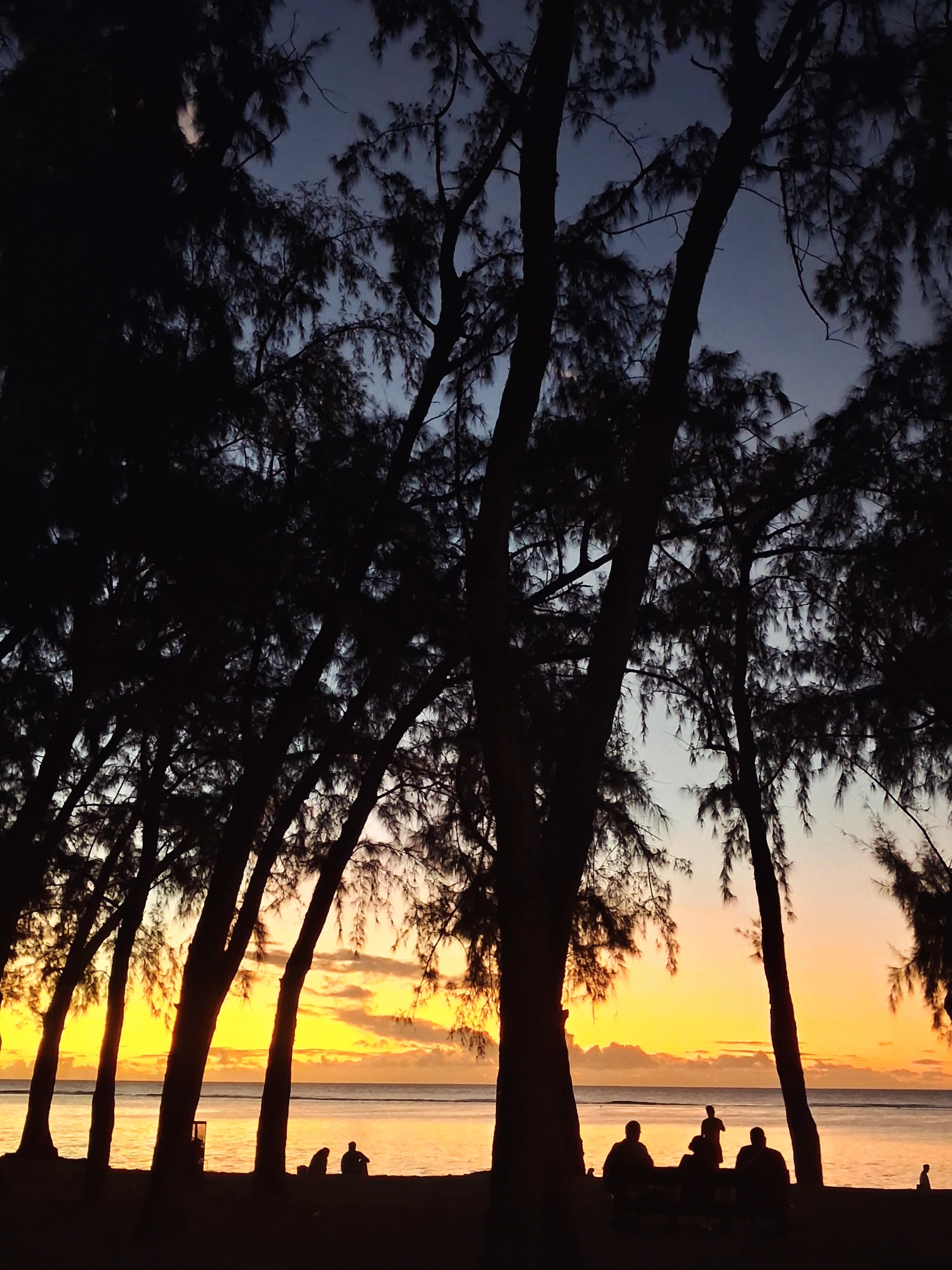 #islandlife #beachlife #sunset