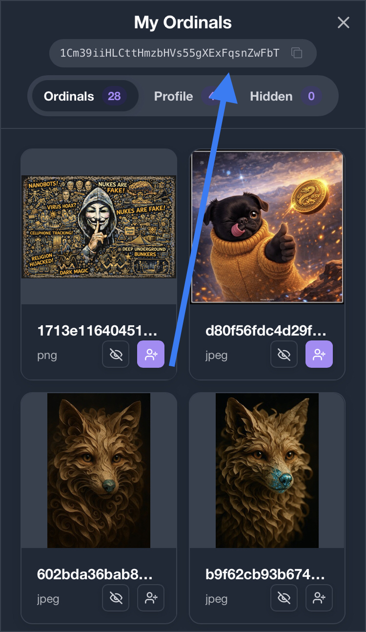 Click on pfp top right hand corner > my ordinals then send me that address