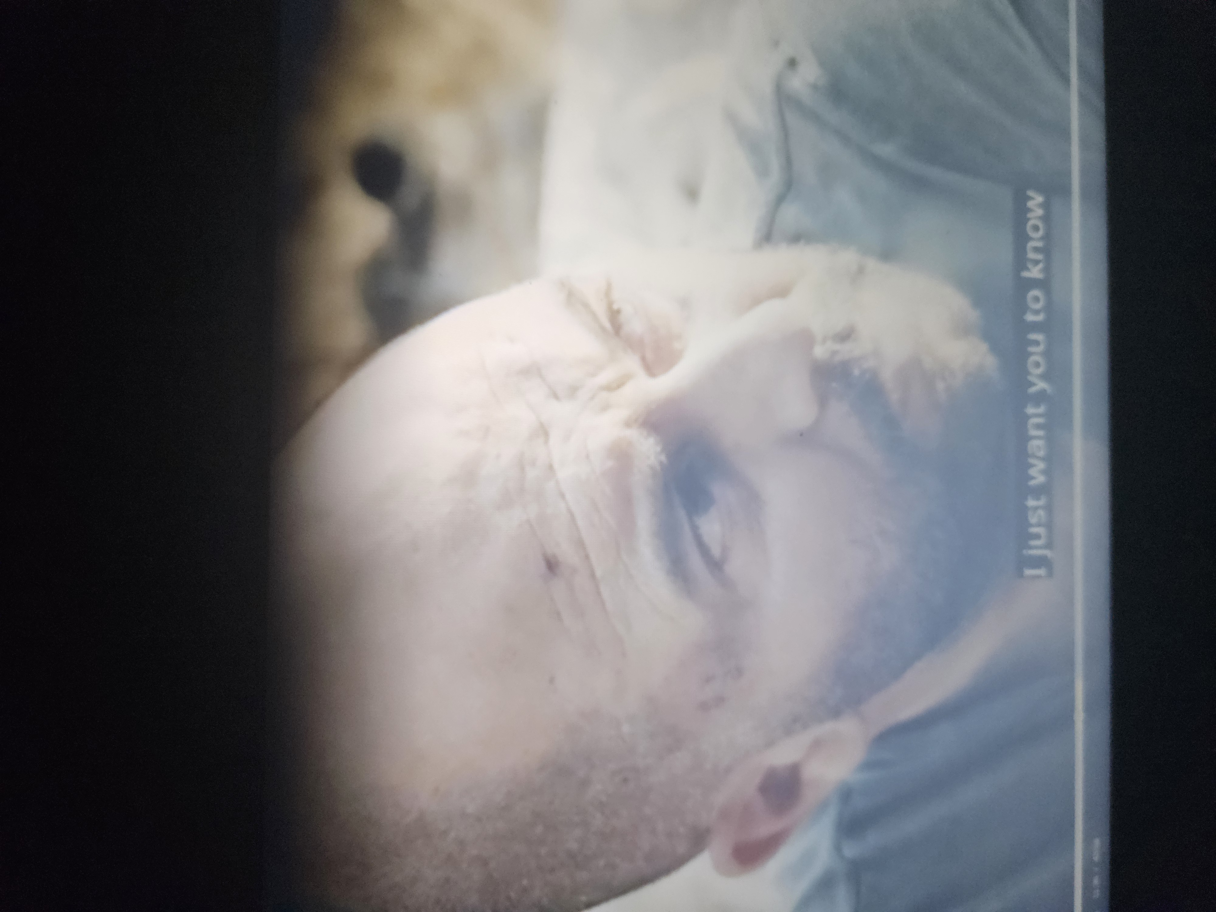 Fauda