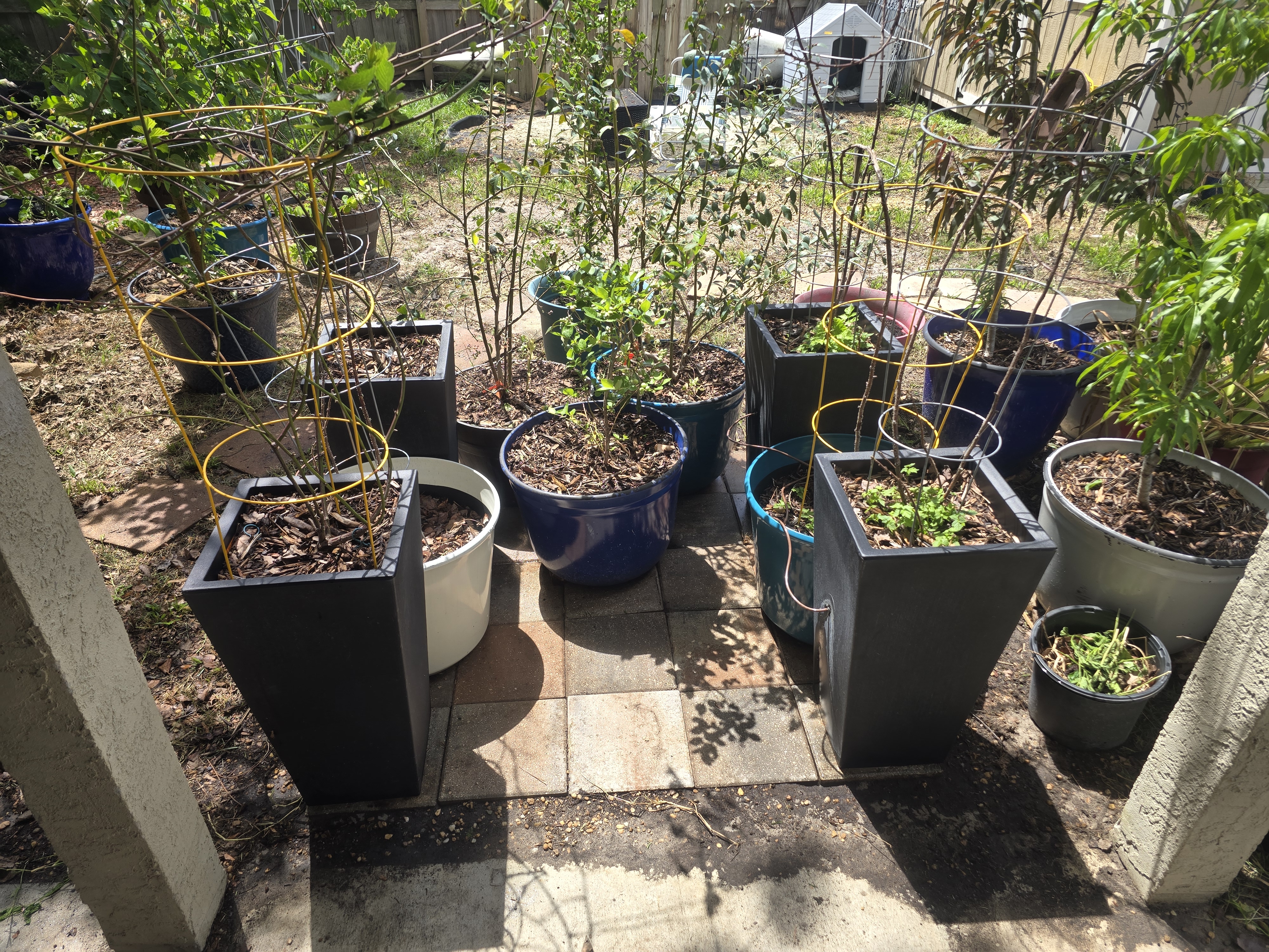 Had to rearrange the stack this morning.  Fifo, filo, whatever it takes. 
Gardening has been a toug…