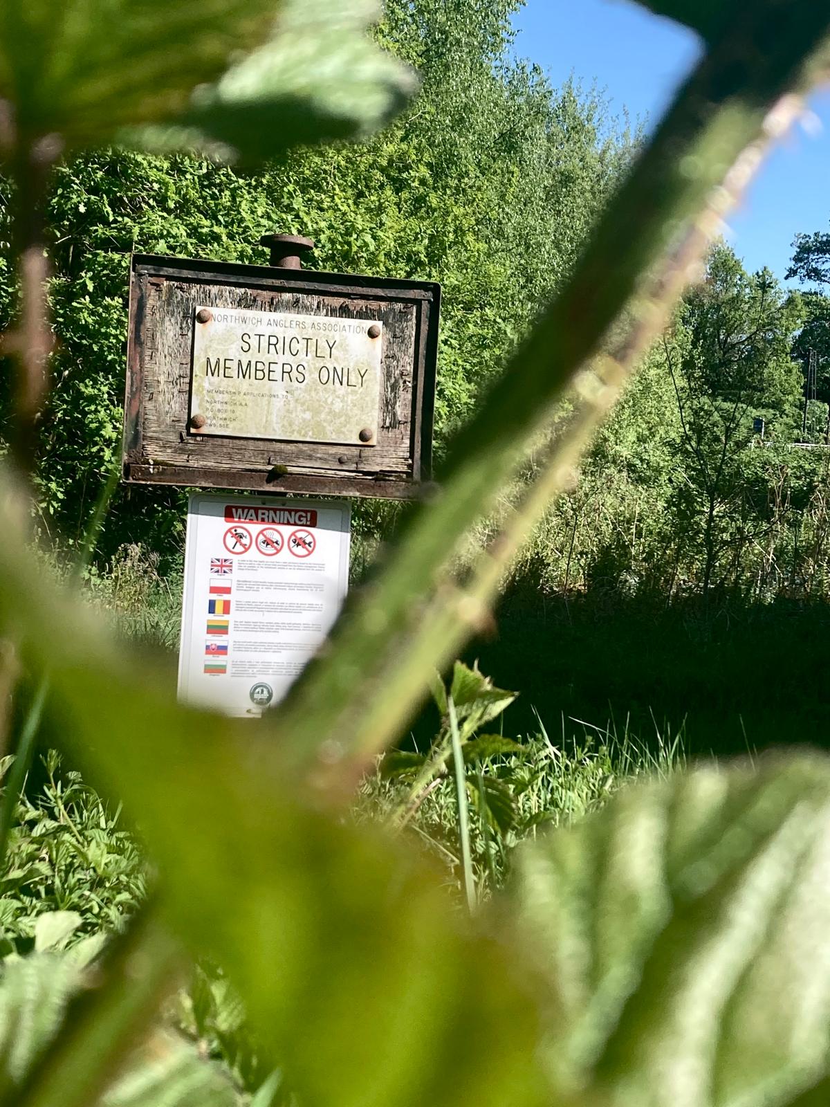 RossThurston post