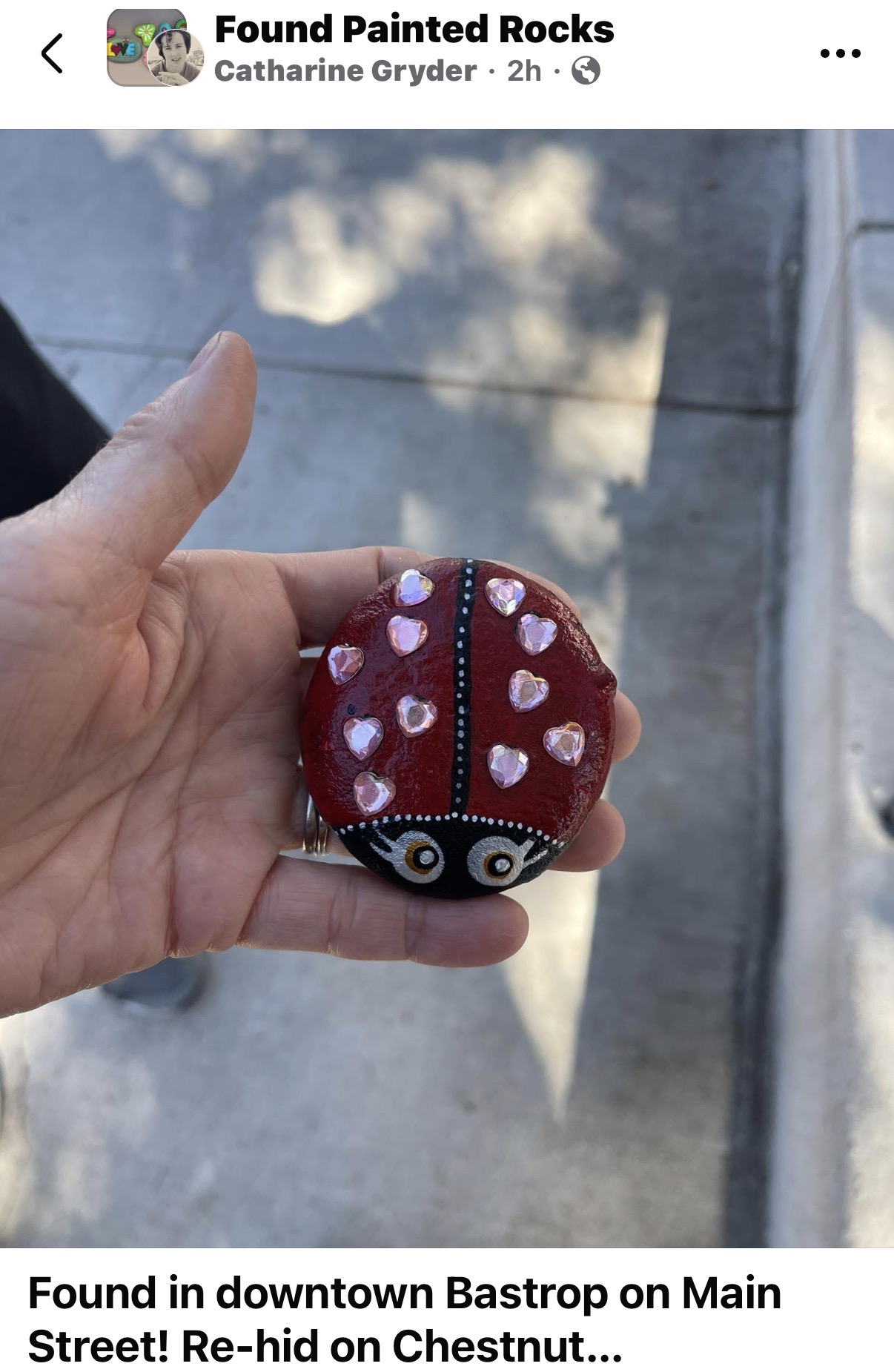 And a ladybug also!!