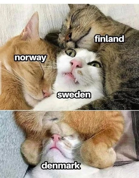 Slashvi post