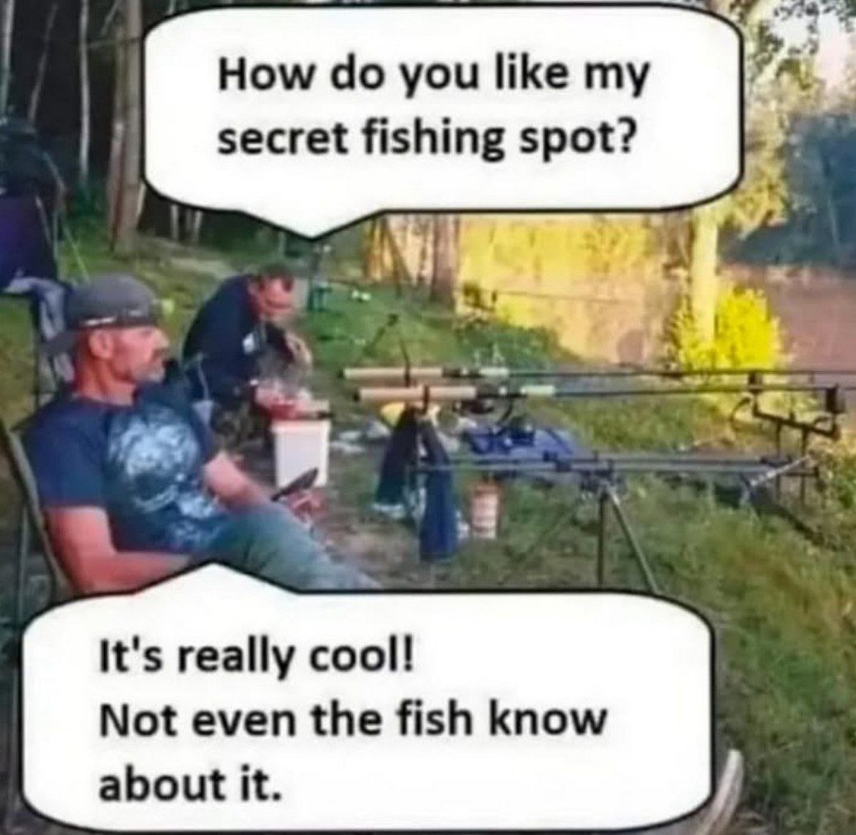 #meme