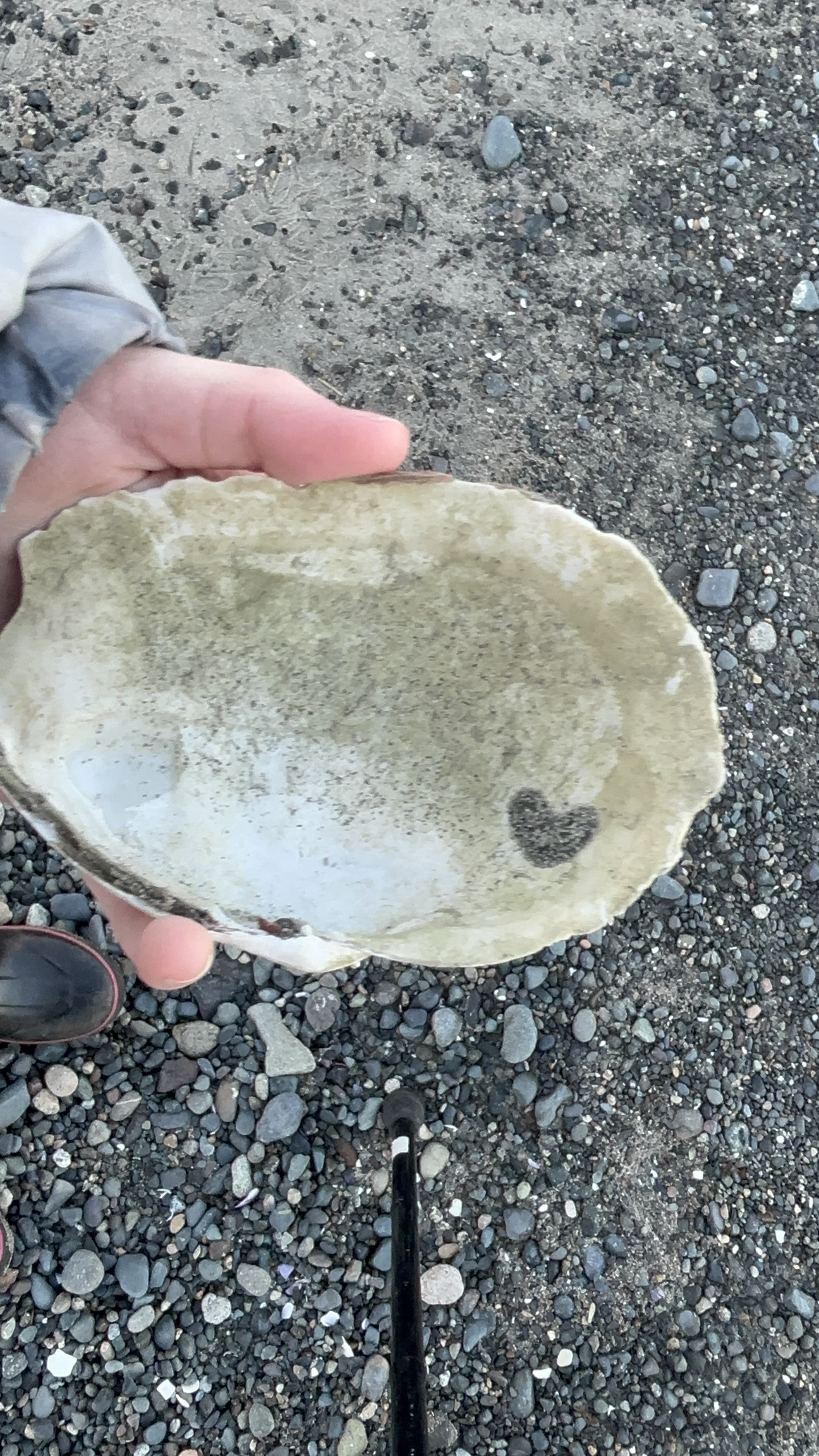 One of the reasons we Love going to the beach is that the ocean is so FULL of LOVE!!!