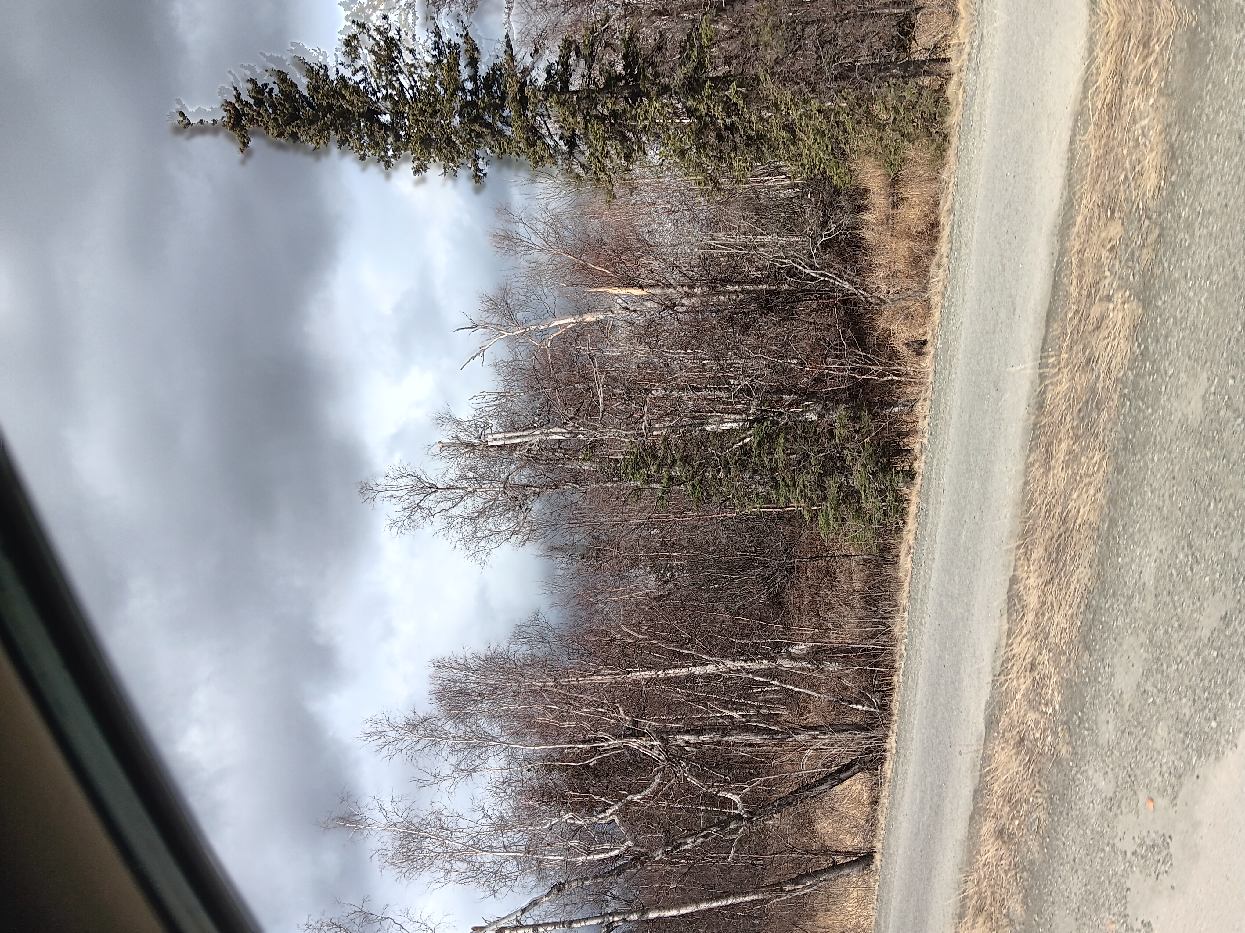 Alaska is so moody today.