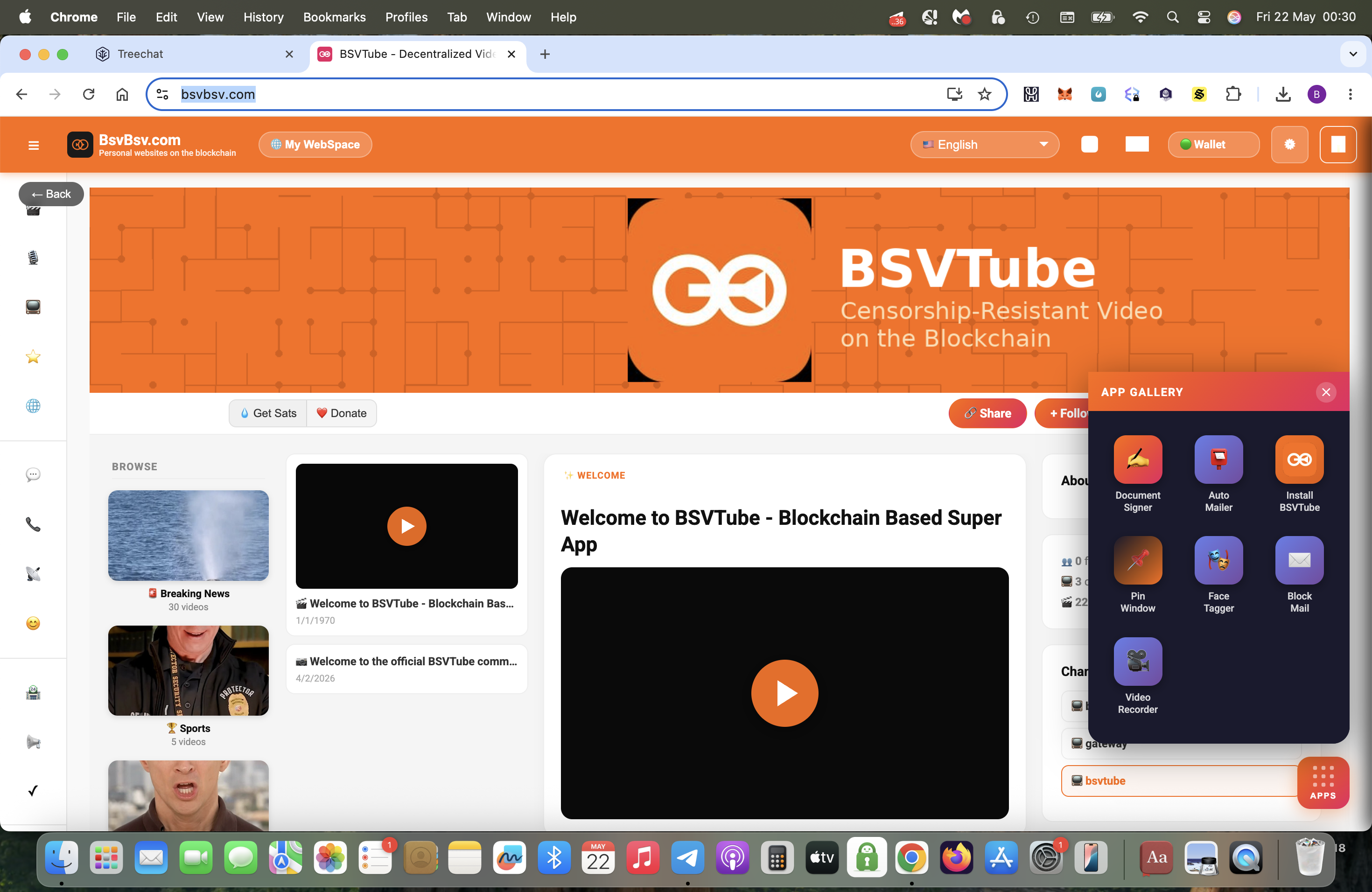 BSV Tube is a service  for vlog creators and so on.
https://bsvbsv.com/