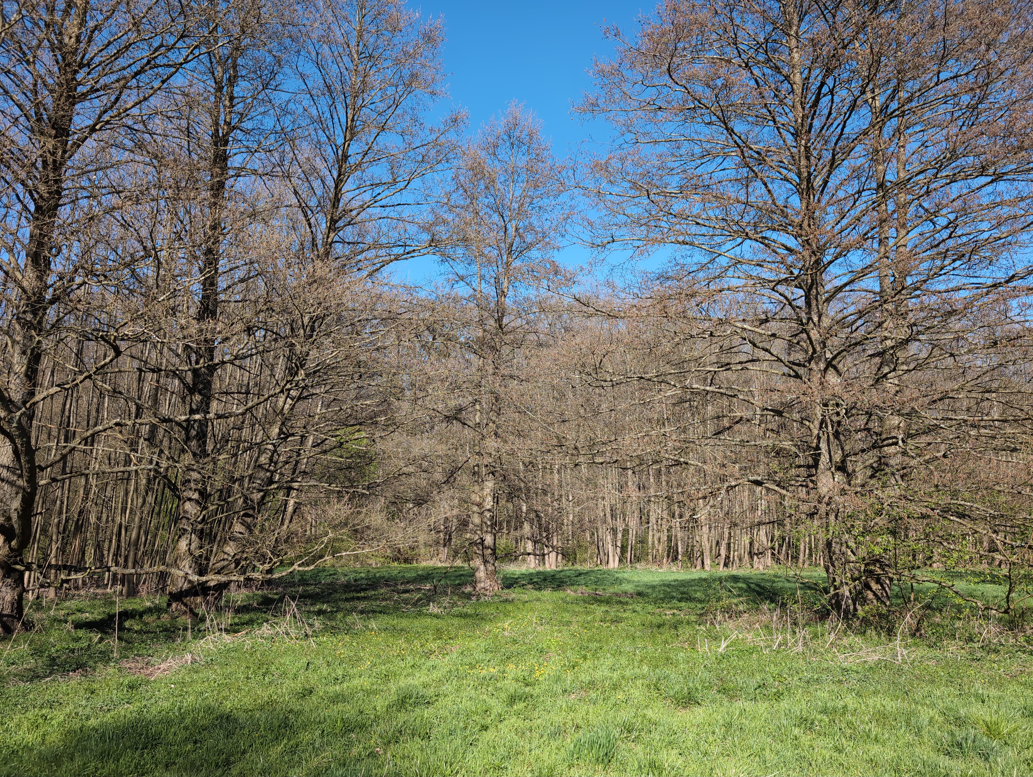 Hello treepeople.  
This is where I will be treecasting from today.