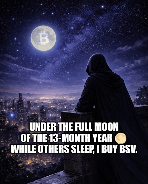 🌕🪙🐦‍🔥