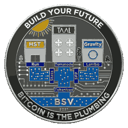 Oh yeah!  I started Bitcoinz in 2021.  Only 50 of these real coins.  Non-precious coin here. Larges…