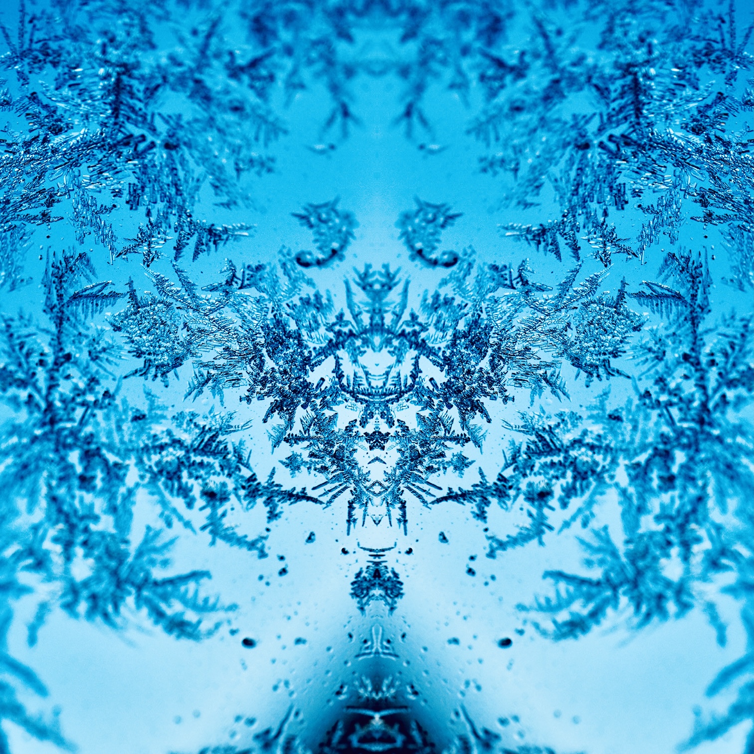 ❄️