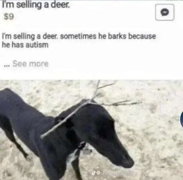 Dividebyzero post