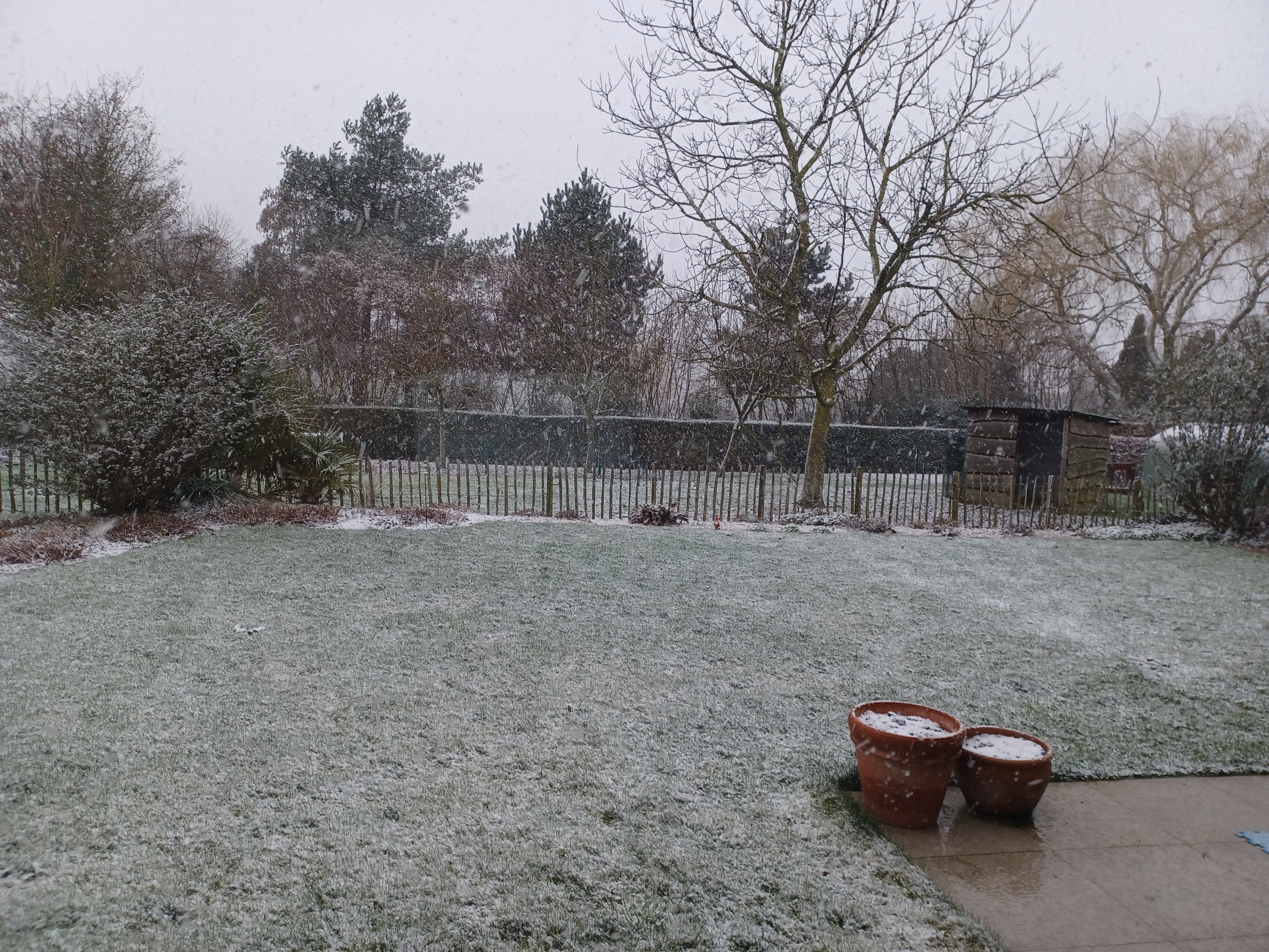 Snow arrived.