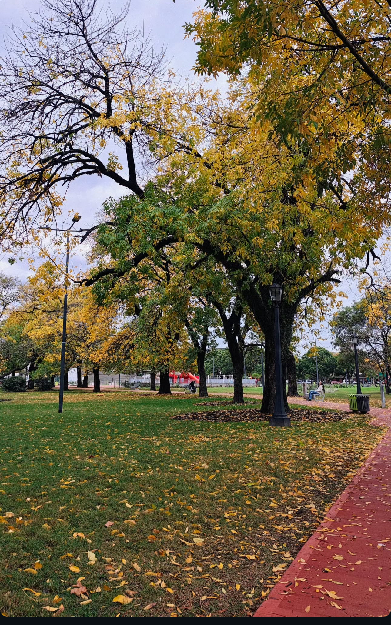 Gray autumn in #BA ☁️