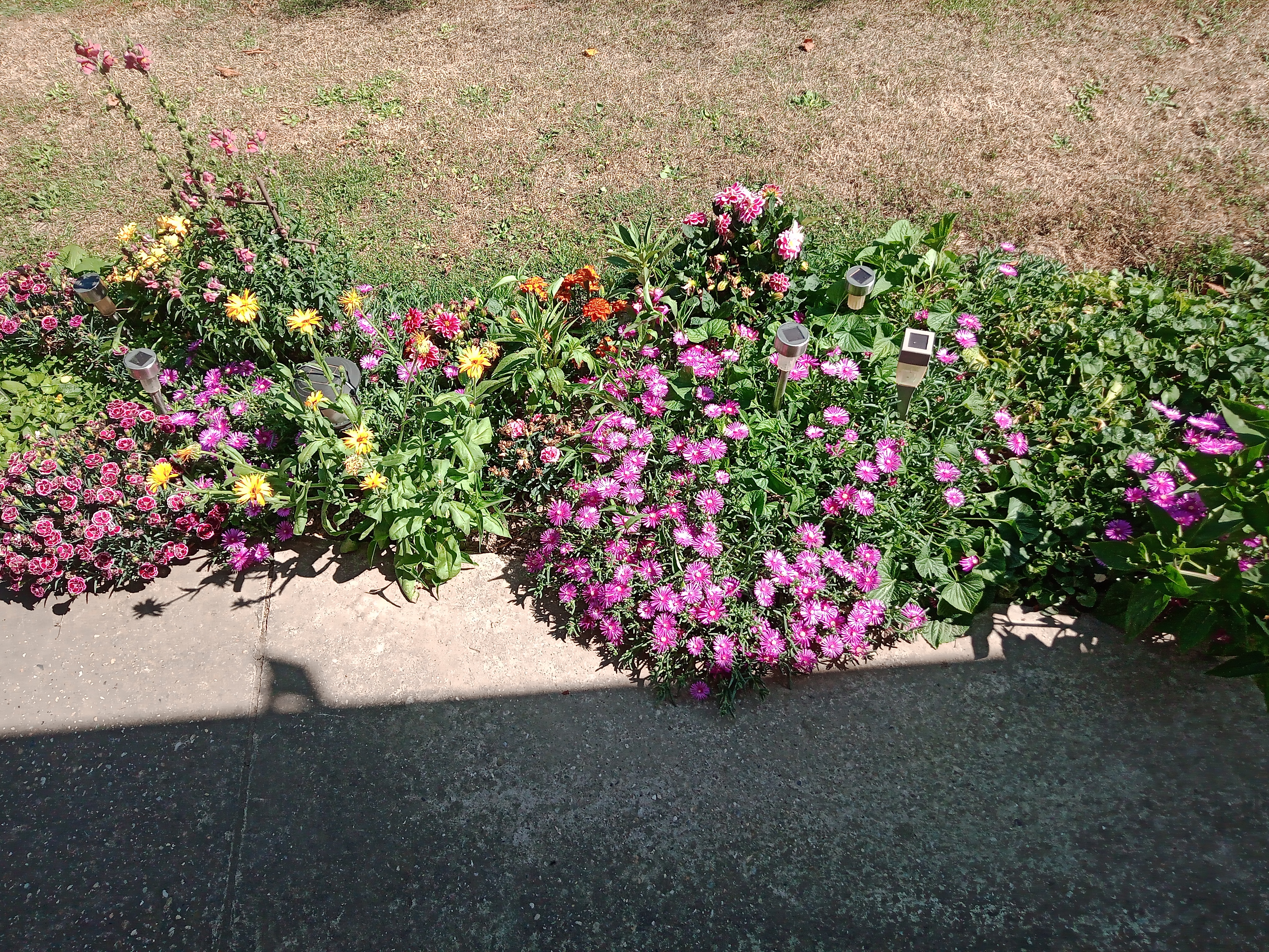 Flower power