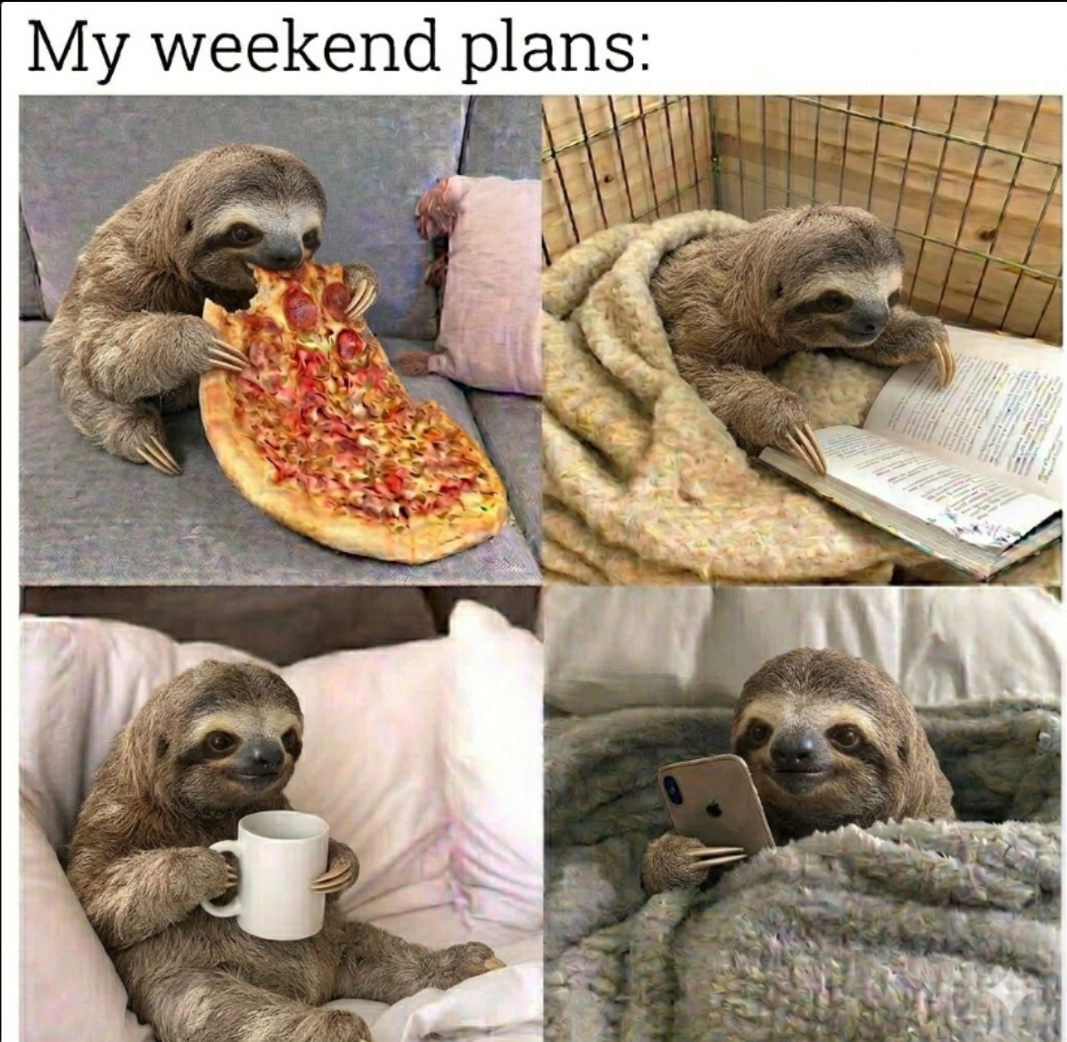 wbu