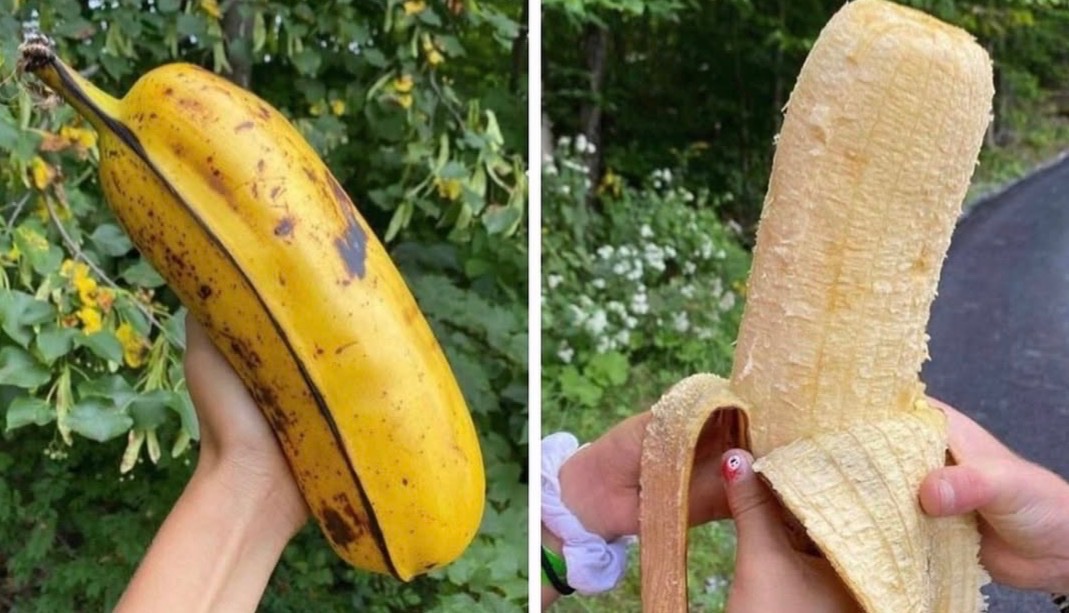 When I see big blocks extracted by Gorilla Pool 🍌