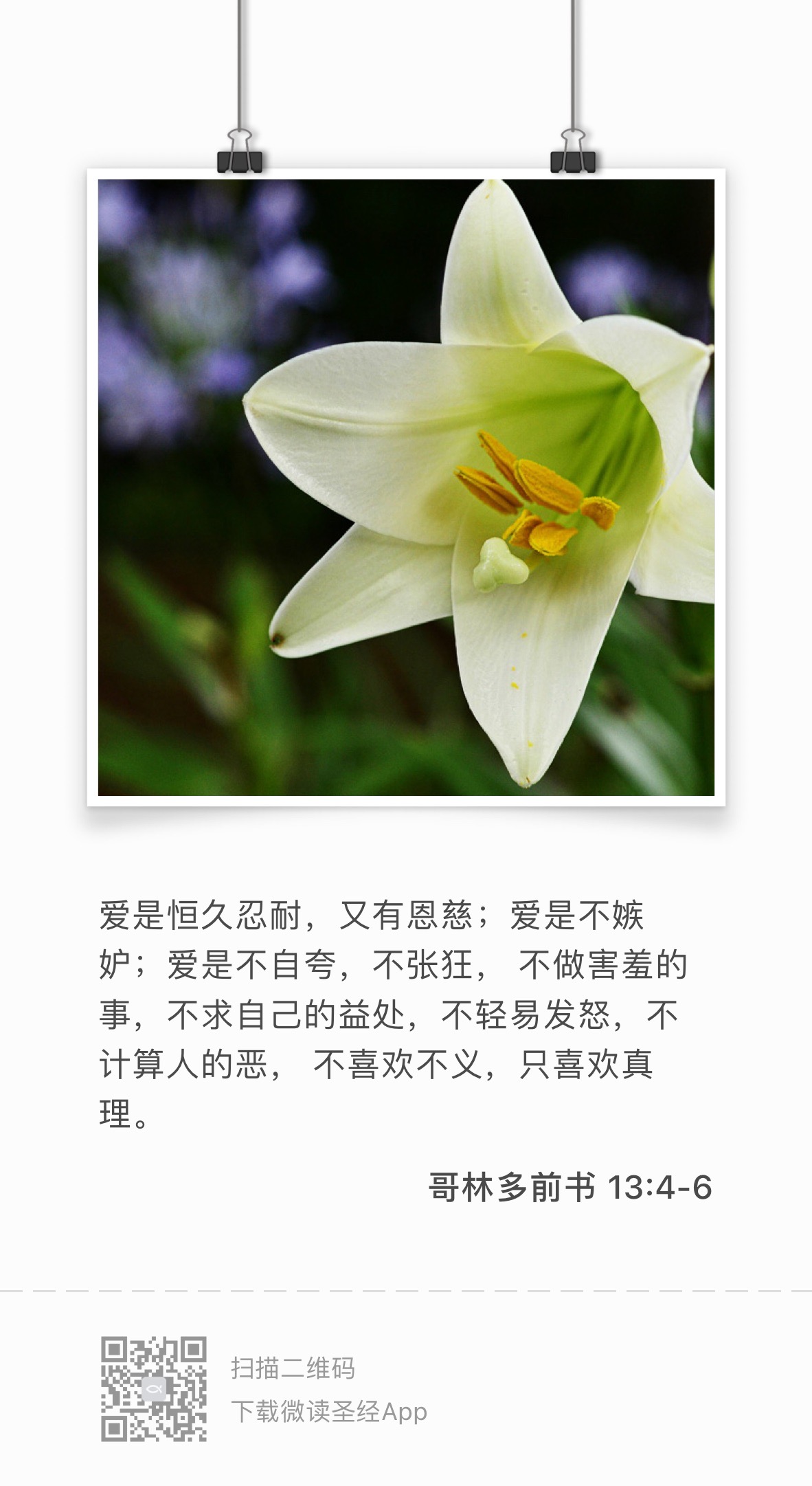 1haodev post