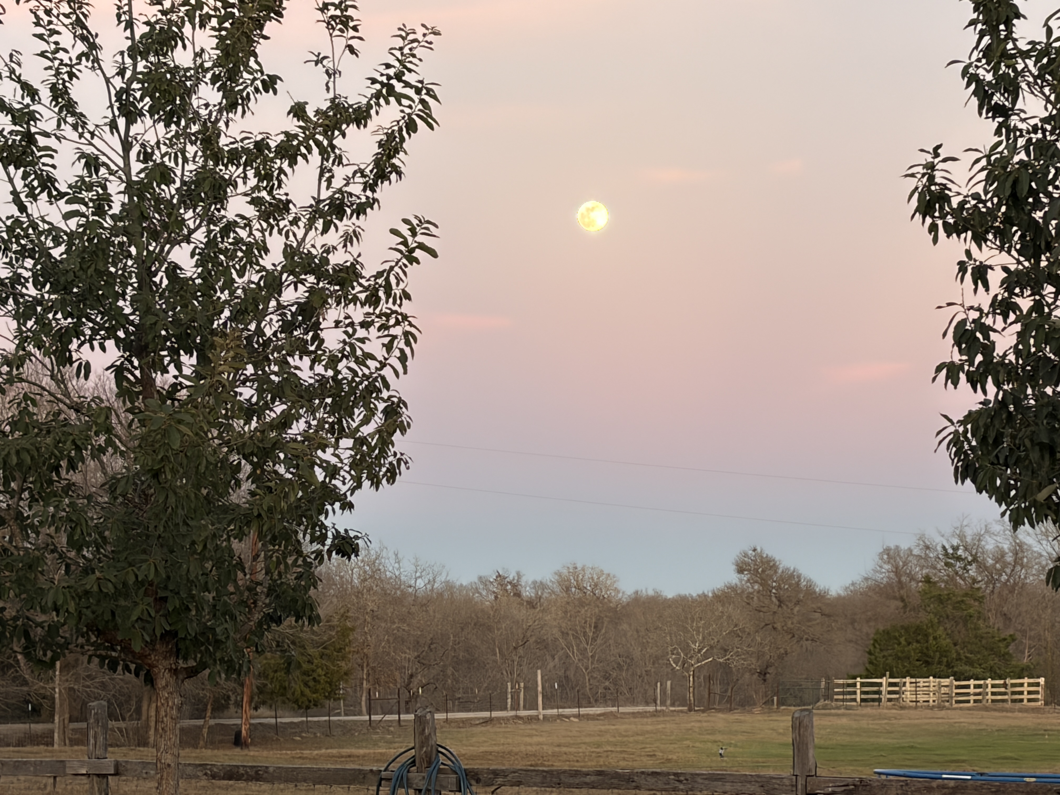 My full Moon tonight. January 2, 2026.