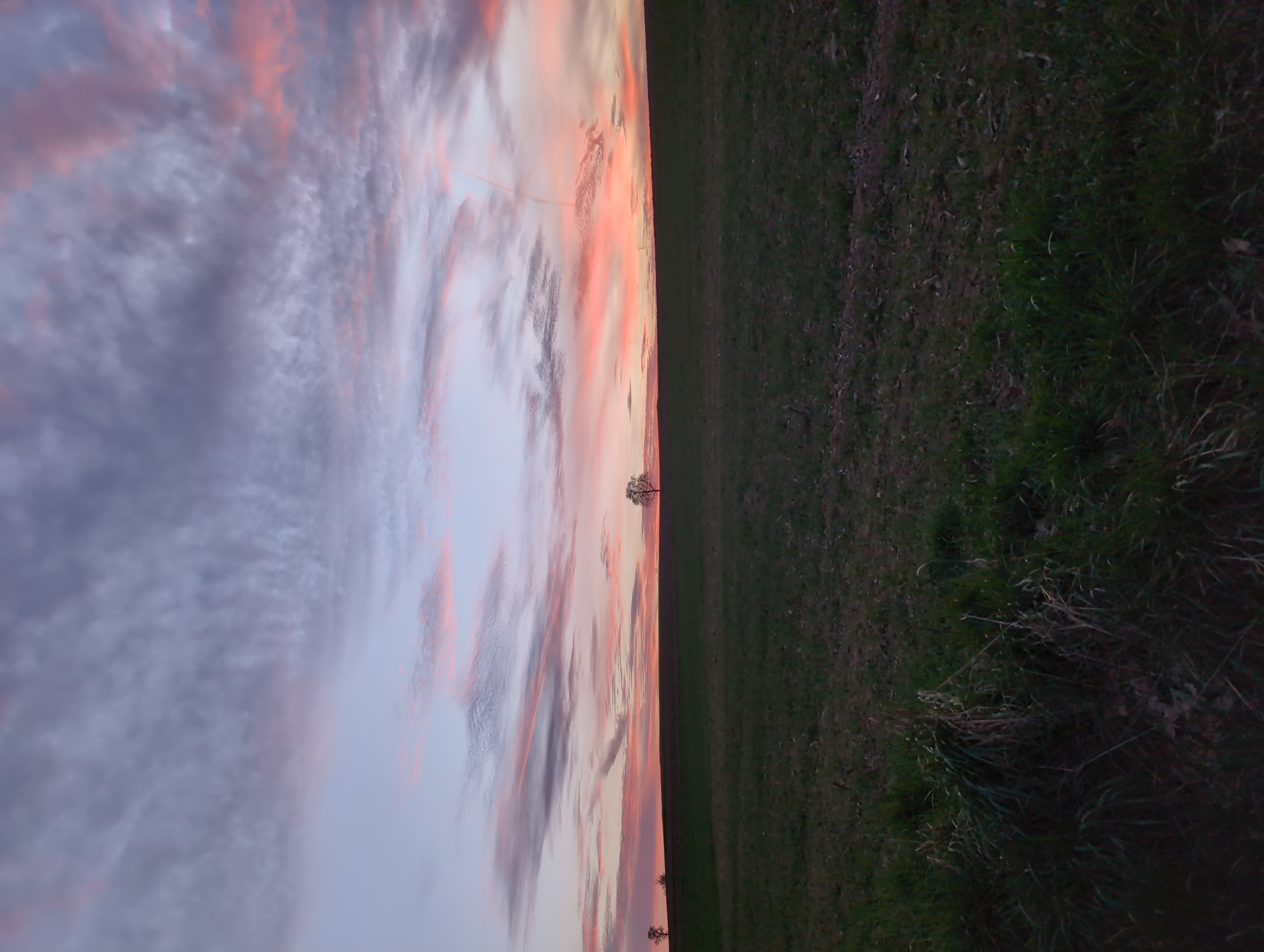 Good evening tree people.  
"Inherited will.  The tide of the times.  People's dreams.  These thing…
