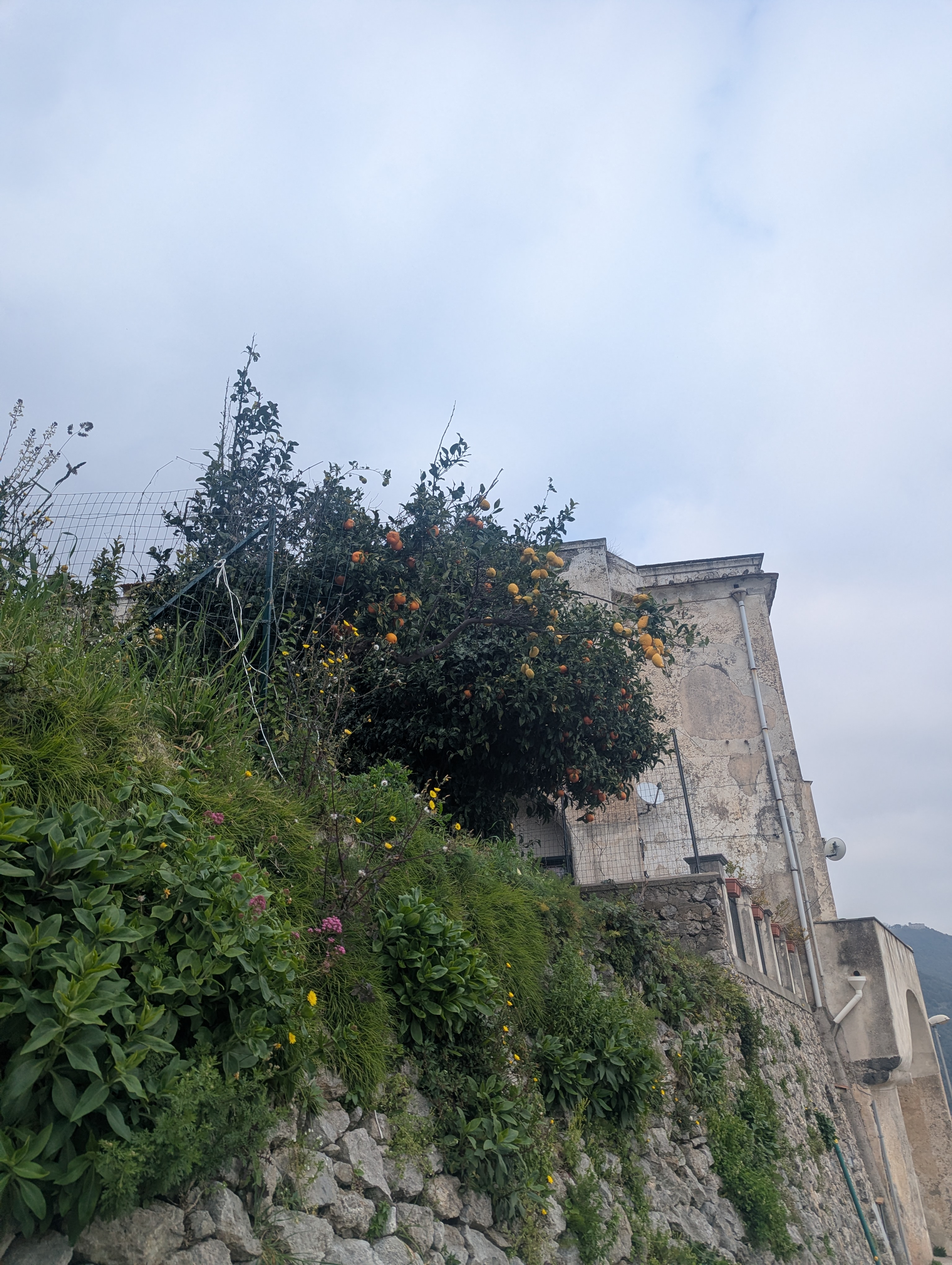 Main industry is tourism and lemon trees