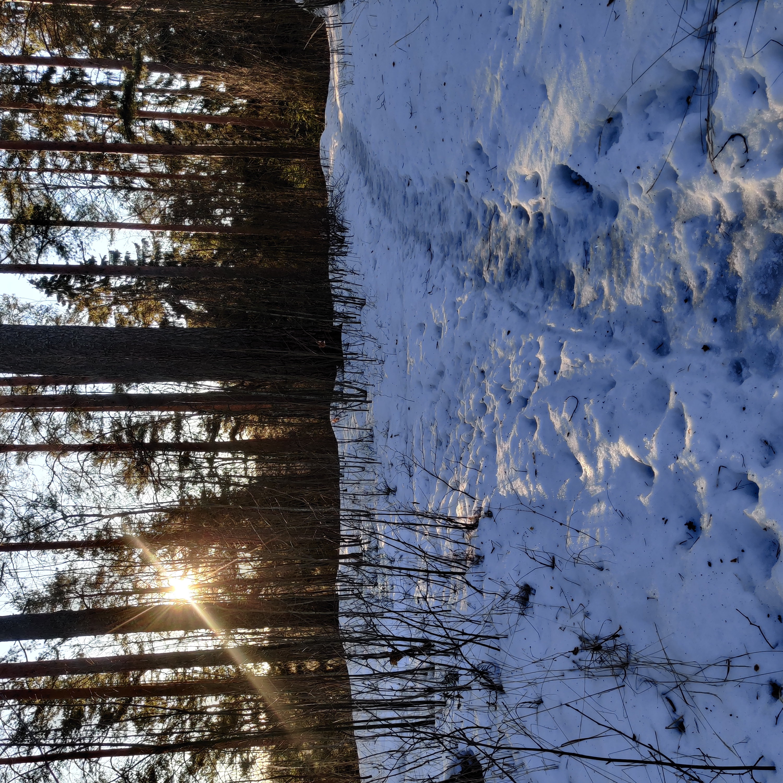 Ionature post