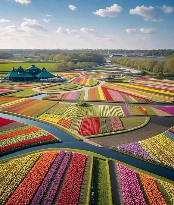 Keukenhof, The Netherlands.