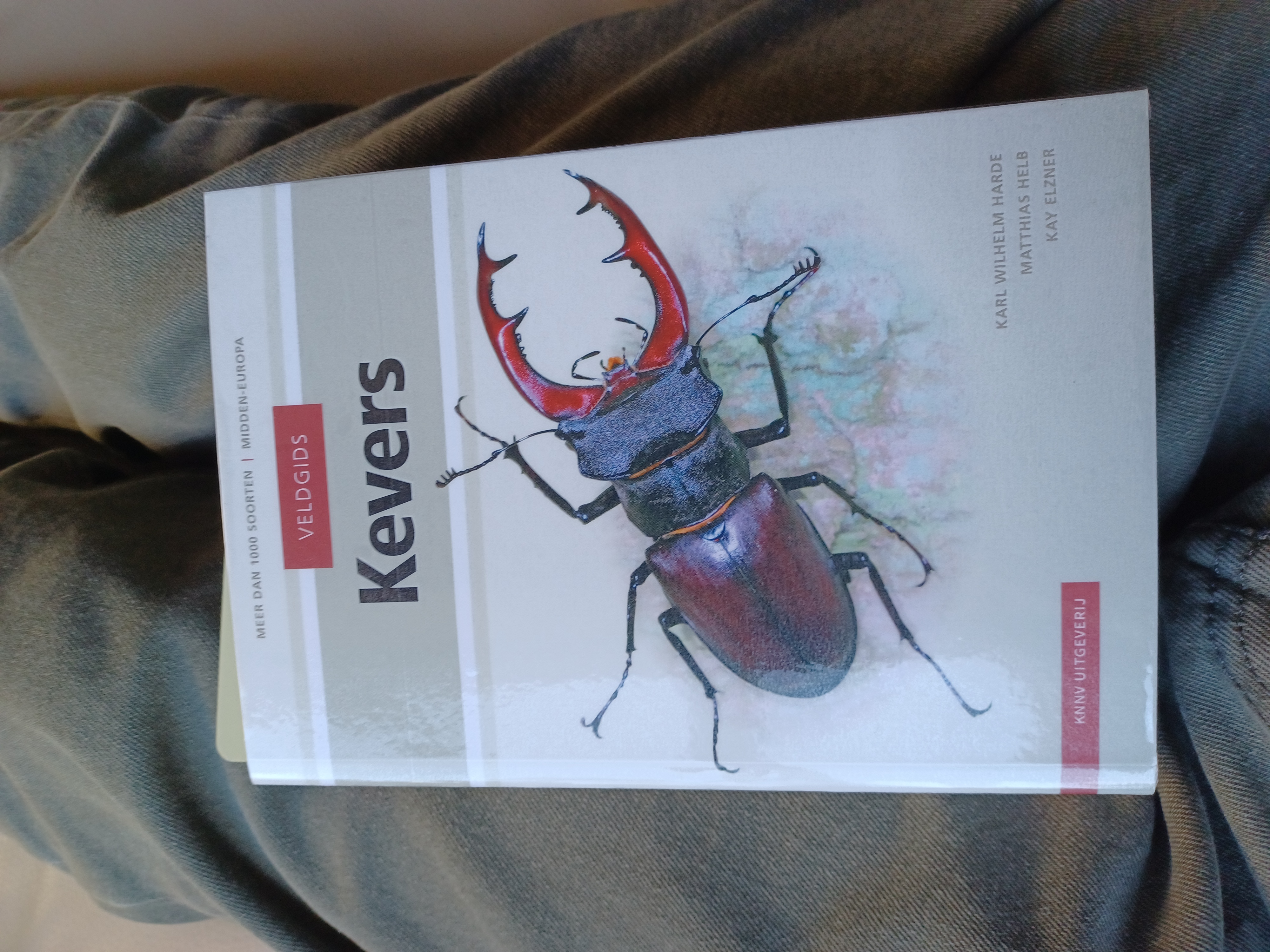 My new book arrived this morning.