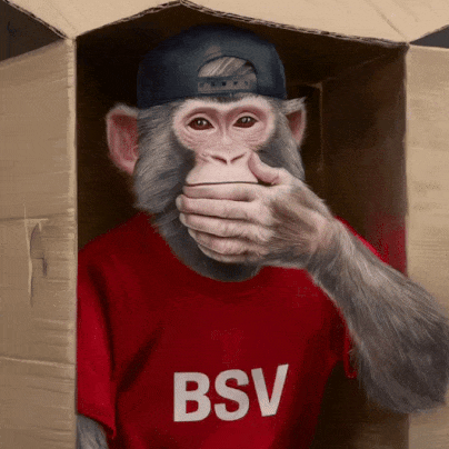 Monkey Boxes 4