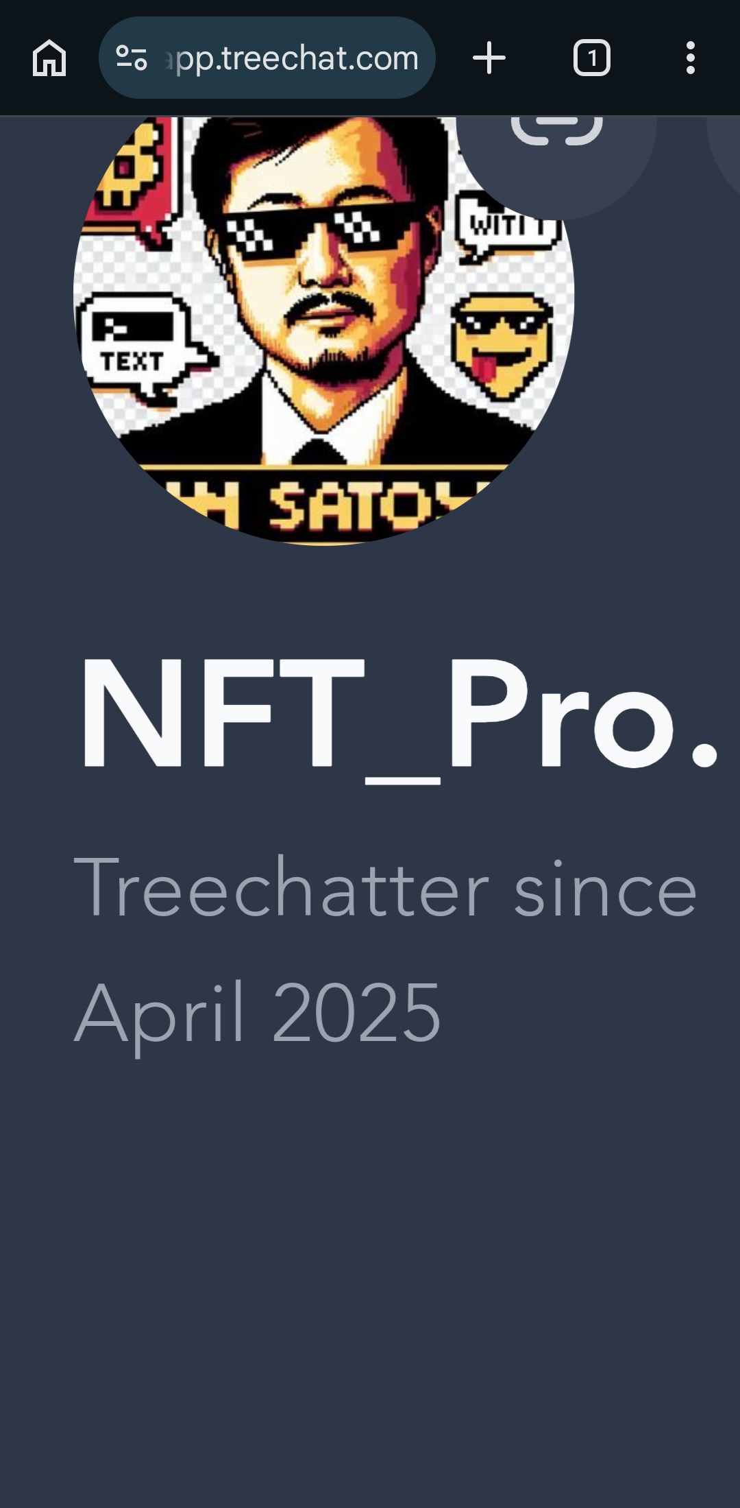 Shoutout to NFT_ProjectBSV
Really enjoying his NFT descriptions/text.
They read like some sort of s…