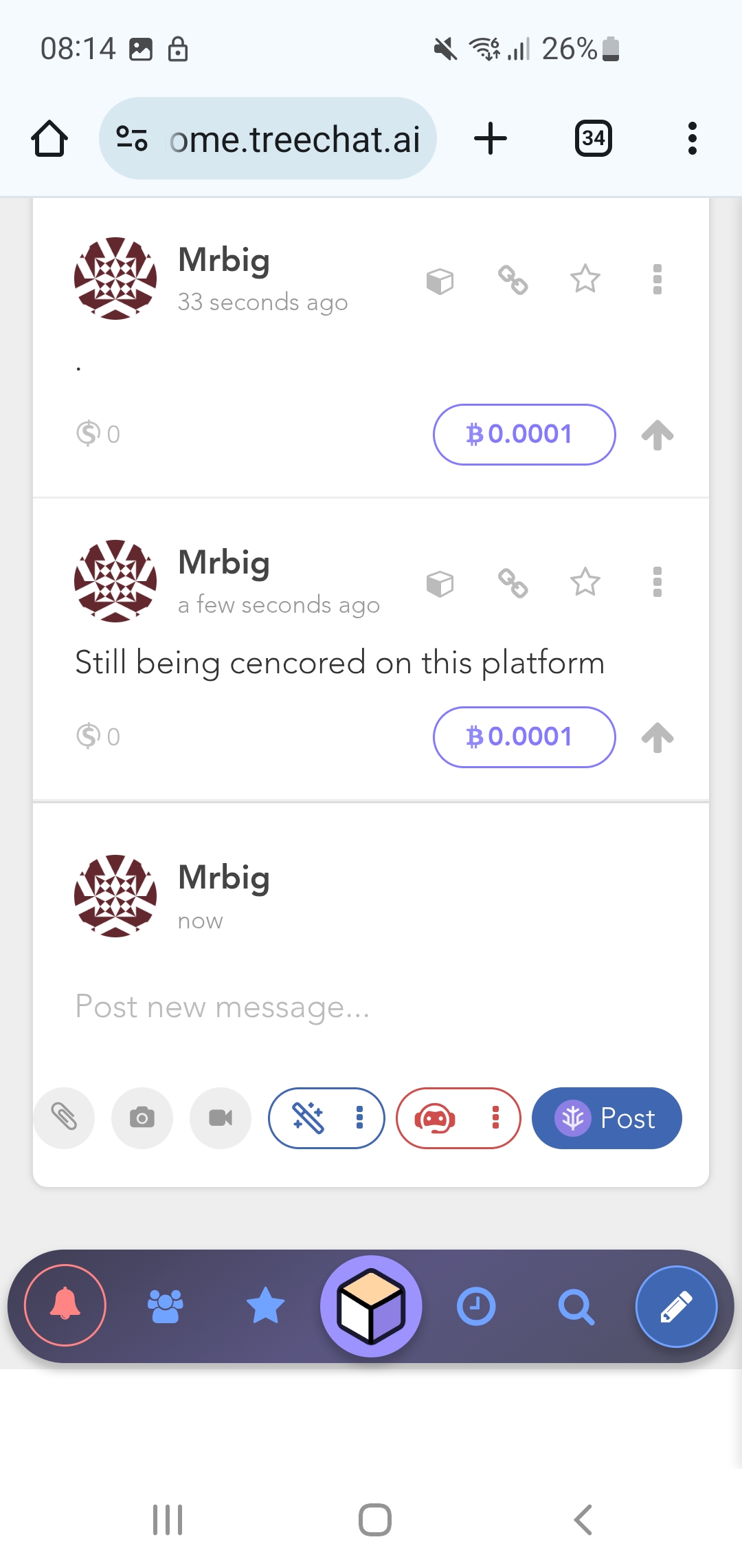 Mrbig post