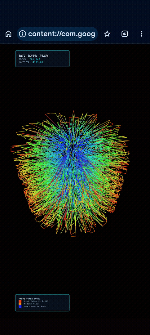 Volumetric visualization of BSV transactions