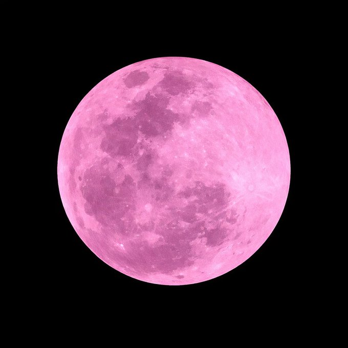 On the Night of April 1, the "Pink Moon" can be observed in the Sky