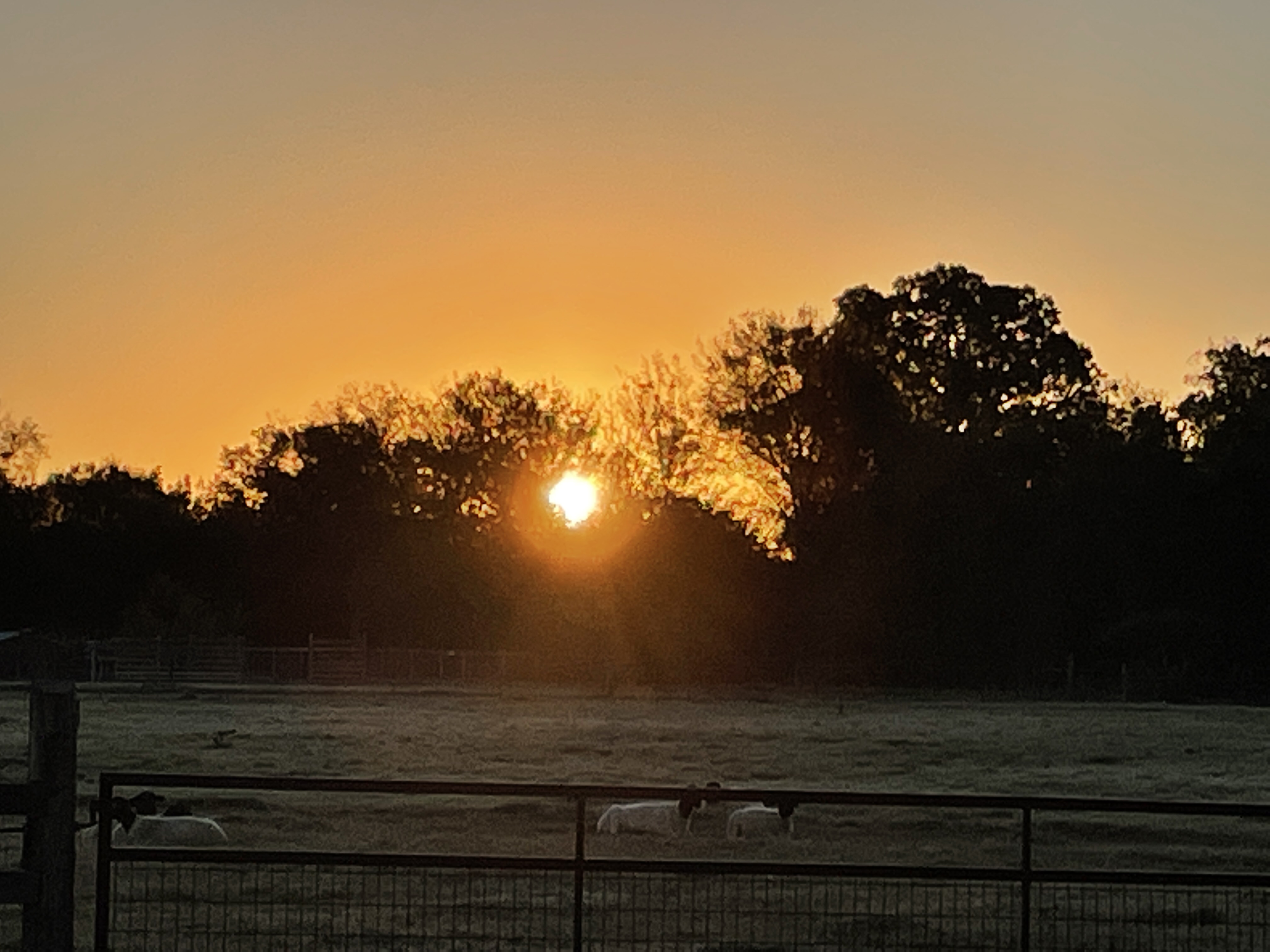 Good Morning!!