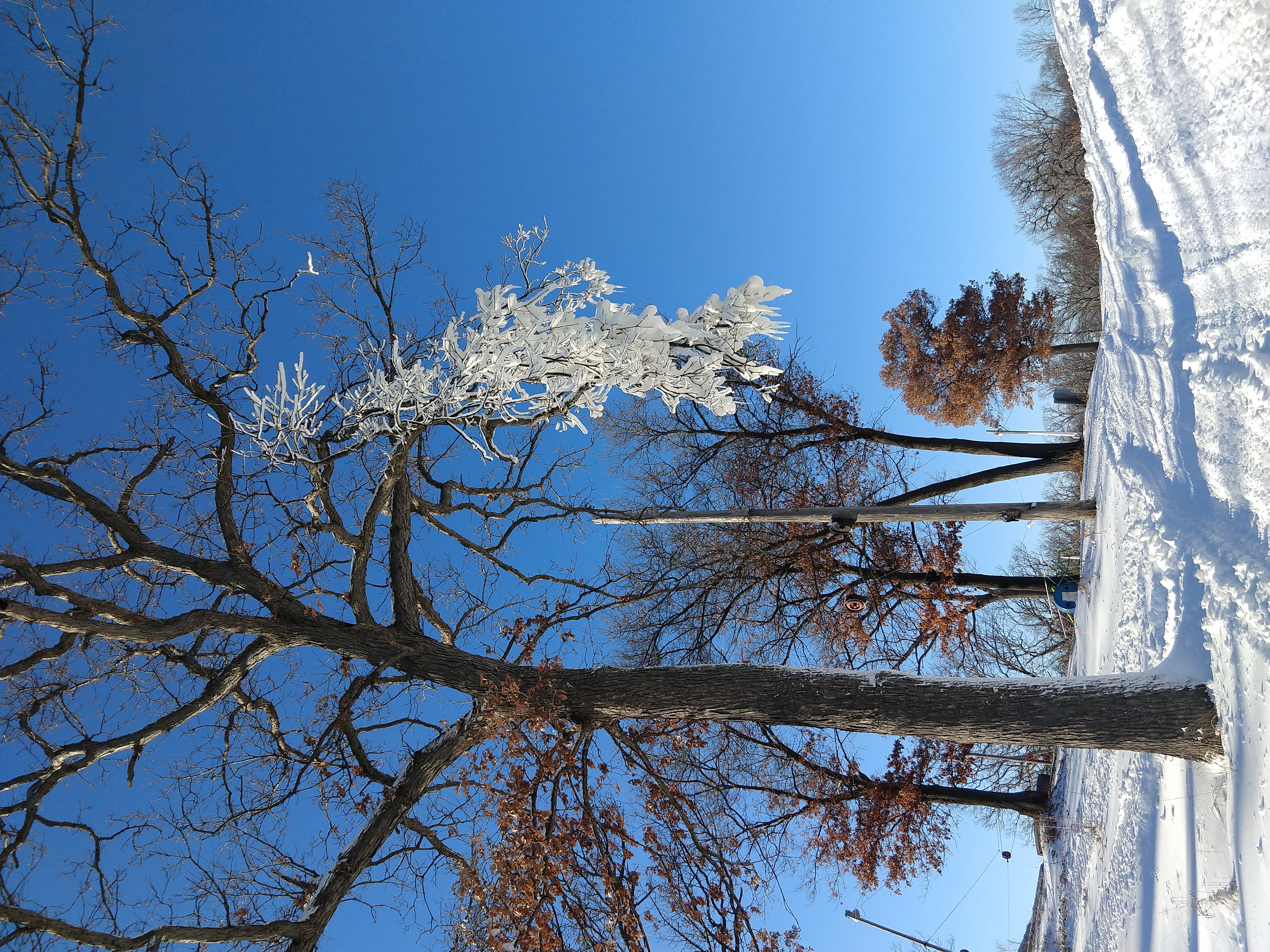Beautiful! Reminds me of this shot I took at a Minneapolis park a few years ago