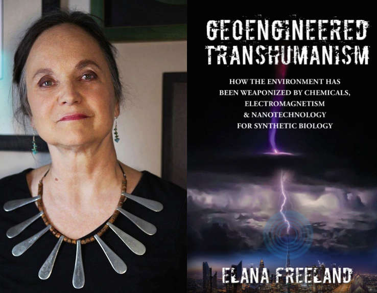 Elana's work is excellent, i own 5 of her books and she is a visionary