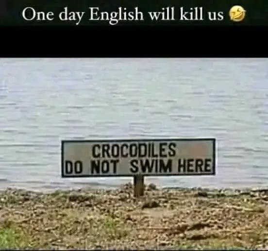 #meme