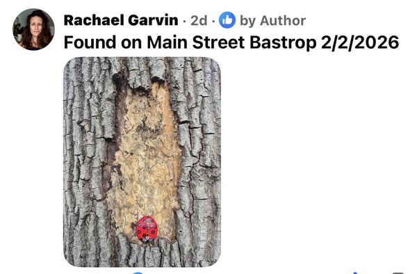 Oh yes that the most fun part!! There’s a FB group called “Found Painted Rocks” where they post a p…