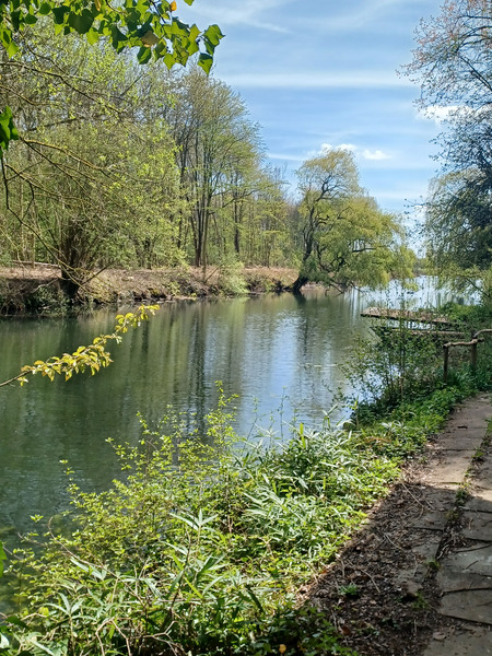 Visited nature reserve Coupure Deweer West Belgium for first time this spring.