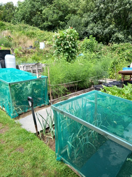 The ability to grow your own food and be self sustainable is possibly the most empowering thing eve…