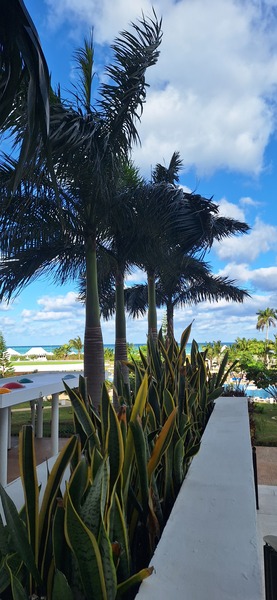 My day. It's cold 16C⁰ for the Caribbean that's very cold.