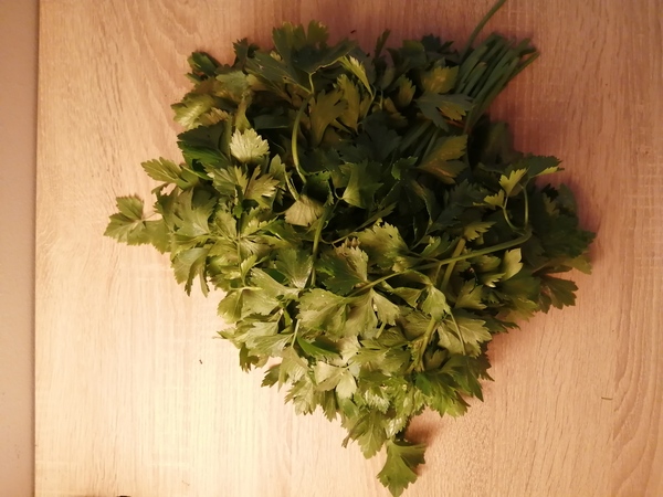 Just picked some more Celery from our garden.

As the weather is getting warmer I start to see some…