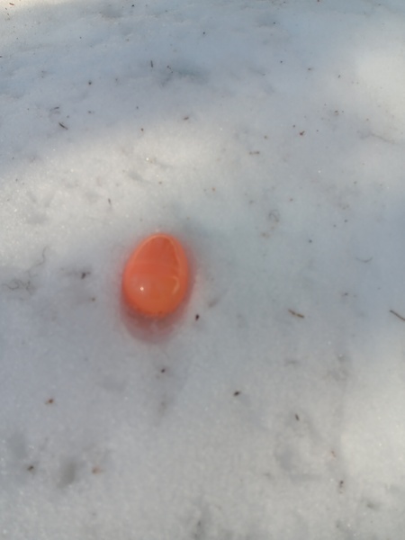 Egg Hunt in the deep snow