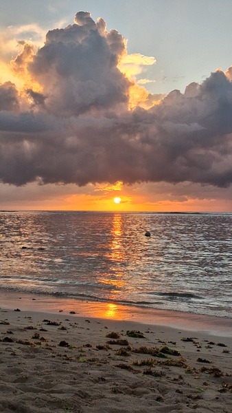 Flic en Flac beach, island of Mauritius.