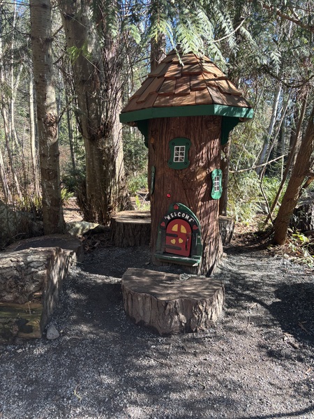 Gentrification of a local faerie forest.   It’s been years since I’ve been through it.  We go to th…