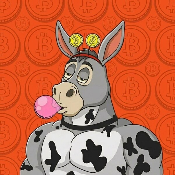 W Donkey #12