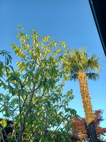 Hot today.