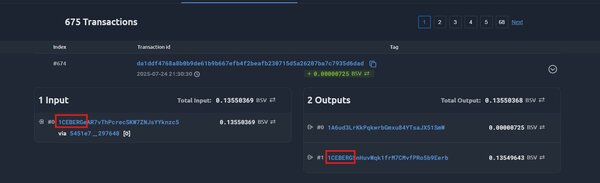 The biggest BSV wallet just received a transaction from an address starting with 1CEBERG:
whatsonch…